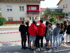 DELAVNICA 2, DANIJELA STERLE